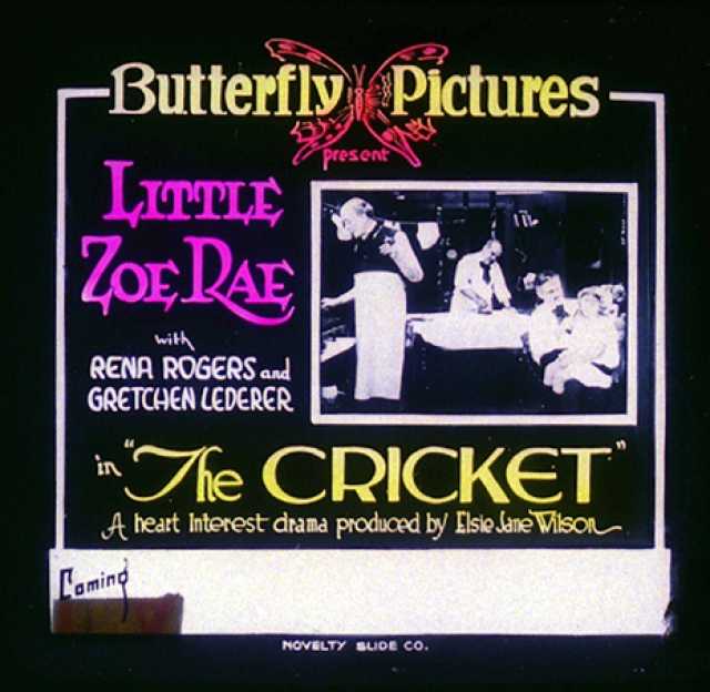 Titelbild zum Film The Cricket, Archiv KinoTV