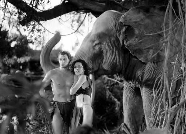 Szenenfoto aus dem Film 'Tarzan and his mate' © Metro-Goldwyn-Mayer (MGM), Metro-Goldwyn-Mayer (MGM), 