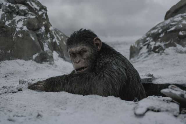 Szenenfoto aus dem Film 'War for the Planet of the Apes'